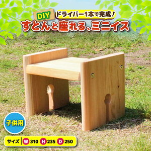yӂ邳Ɣ[ŁzЂ̂ g ~jCX uƂv/ qmL Ђ̂ w  ֎q DIY gݗ / TRs /OhюY[AMAD004]
