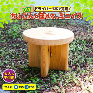 yӂ邳Ɣ[ŁzЂ̂ g ~jCX u傱v/ qmL Ђ̂ w ֎q  DIY gݗ / TRs / OhюY[AMAD008]