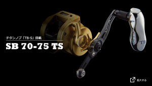 yӂ邳Ɣ[ŁzLIVRE u SB 70-75 TS / ނ ދ  ނpi tBbVO mu nh [nh JX^nh JX^ނ y tBbVOMA ӂ邳Ɣ[Œދ 