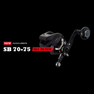 yӂ邳Ɣ[ŁzLIVRE u SB 70-75 (I[ubN) / ދ ނ ނpi ނ AEghA TRs / LЃKebN[AMBB258]