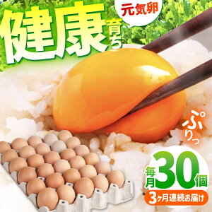 yӂ邳Ɣ[Łzy3ցzƊCŌN炿 C 90i30×3j /   ܂ ^}S ʎq { / TRs / M{{{ [AMBH002]