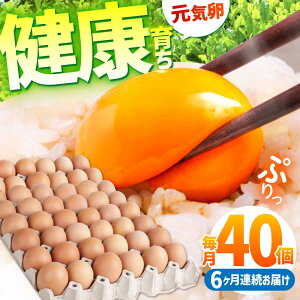 yӂ邳Ɣ[ŁzyS6ցzƊCŌN炿 C 240i40×6j / ܂ ^}S ʎq { / TRs / M{{{[AMBH007]