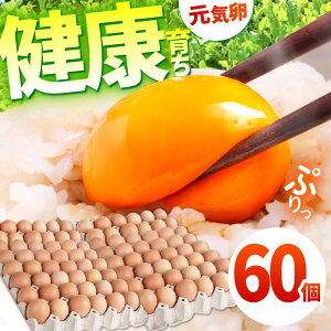 yӂ邳Ɣ[ŁzƊCŌN炿 C 60 / ܂ ^}S ʎq { / TRs / M{{{[AMBH009]