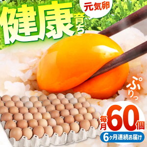 yӂ邳Ɣ[ŁzyS6ցzƊCŌN炿 C 360i60×6j / ܂ ^}S ʎq { / TRs / M{{{[AMBH010]