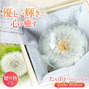 yӂ邳Ɣ[Łzypallo 80mmzۂۃn[oE / CeA G t[ i` / TRs / auRinko [AMBL002]