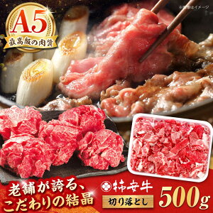 yӂ邳Ɣ[ŁzōA5 OdY јa ` ؂藎Ƃ 500g /  ؂藎Ƃ Ԑ؂ a Y Ă Ԃ A5 Ԑg ~ ①  / TRs / `{