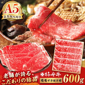 yӂ邳Ɣ[ŁzōA5 OdYјa `  600g / Y uh  ① / TRs / `{X [AMBW002]