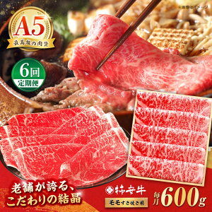 yӂ邳Ɣ[Łzy6ցzōA5 OdYјa `  600g / Y uh  ① / TRs / `{X [AMBW007]