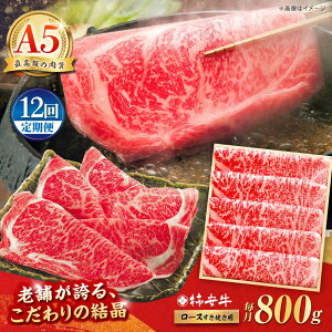 yӂ邳Ɣ[Łzy12ցz[X Ăp 800g ōA5 OdY јa ` / ӂ邳Ɣ[łĂ Y uh  ① / TRs / `{X [AMBW017]