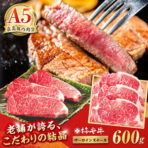 yӂ邳Ɣ[Łz ōA5 OdY јa ` T[CXe[L 600g / Y T[C Xe[L a uh Ya  a5  ① BBQ o[xL[ v[g Mt