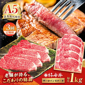 yӂ邳Ɣ[Łzy3ցzōA5 OdY јa ` T[CXe[L 1000g / Y uh  ① / TRs / `{X [AMBW030]