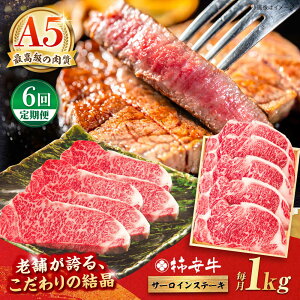 yӂ邳Ɣ[Łzy6ցzō A5  OdY јa ` T[CXe[L 1000g / Xe[L a Ԑg Mtg v[g T[C Y uh  ① / TRs 