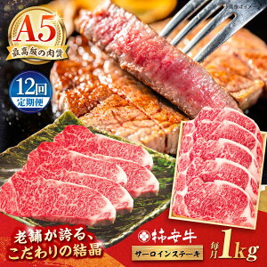 yӂ邳Ɣ[Łzy12ցzō A5  OdY јa ` T[CXe[L 1000g /  T[C Xe[L ō A5 Ԑg / TRs / `{X [AMBW032]
