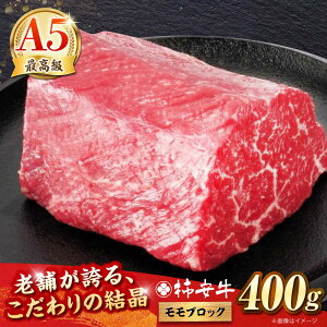 yӂ邳Ɣ[Łzјa [Xgr[tp ()400g OdY ōA5 ` / ubN a [Xgr[t  Ԑg ①  / TRs/`{X [AMBW034]