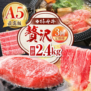 yӂ邳Ɣ[Łzy3ցz ōA5 OdYјa ` ґ v2.4kg TRs/`{X[AMBW041]