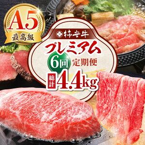 yӂ邳Ɣ[Łzy6ցz ōA5 OdYјa ` v~A v4.4kg TRs/`{X[AMBW042]