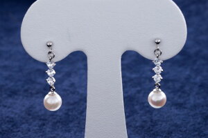 yӂ邳Ɣ[Łz25-13^sAX