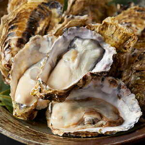 �y�ӂ邳�Ɣ[�Łz���y ���H�p �Y�� �J�L 15���� �Z�b�g�s �I�C�X�^�[�i�C�t �E �R��t�� �t �V�F���J�L �i �k�t�����y �j �ۑP���Y ���y �M�t�g ���Ε� I-55