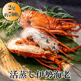 【ふるさと納税】L-13伊勢海老の活蒸し　2尾セット
