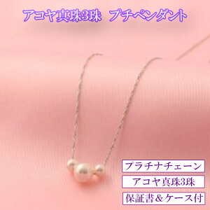 �y�ӂ邳�Ɣ[�ŁzP-38�A�R���^��i�v���`�i�j�v�`�y���_���g 3�P�t