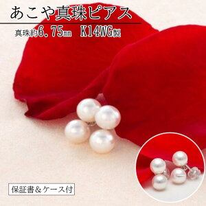 �y�ӂ邳�Ɣ[�ŁzP-10������^��s�A�X �^�� �A�N�Z�T���[ �W���G���[ �s�A�X