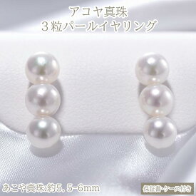 【ふるさと納税】アコヤ真珠 3粒イヤリング 真珠 SV925 ソフトタッチ式 5.5〜6.0mm パールイヤリング シンプル 上品 フォーマル カジュアル ジュエリー ギフト 50-34