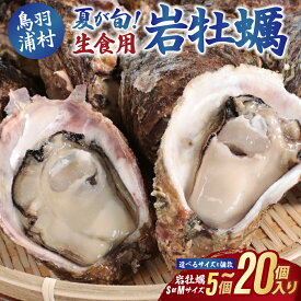 【先行予約／2027年6月下旬より順次発送】生食用岩牡蠣（大福牡蠣）選べるサイズと個数 5個～20個 岩ガキ 生牡蠣 冷蔵 浦村牡蠣 丸善水産 大福牡蠣 9-11