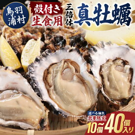 【ふるさと納税】10月15日に受付終了【期間限定 】濃厚な甘みとコク！生食用 三倍体牡蠣 選べる個数10個～40個 生牡蠣 冷蔵 浦村牡蠣 15-34