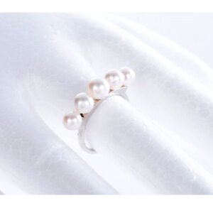 �y�ӂ邳�Ɣ[�Łz300-04�v���`�i�A�R���p�[�������O