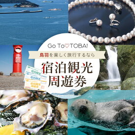 【ふるさと納税】旅行 宿泊観光周遊券 《割引や利用特典あり！》 宿泊 観光施設 飲食店 お土産 真珠購入…と使い道いろいろ（ 旅行券 宿泊券 飲食券 商品券 感謝券 感謝優待券 ）割引や利用特典あり！ 鳥羽 K-2-10