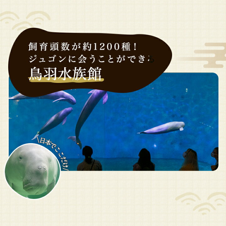 楽天市場】【ふるさと納税】旅行 宿泊観光周遊券 宿泊 観光施設 飲食店 