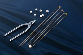 【ふるさと納税】L-2818チェーンリフォーム・パールネックレス