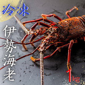 yӂ邳Ɣ[Łz Nz\ yⓀzJY Hp ɐCV 1L  hg ɐGr ɐ CZGr