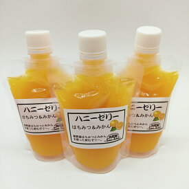 【ふるさと納税】 10 自然塾 みかん ハニーゼリー 3個入り