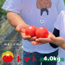 【ふるさと納税】 【先行予約】熊野市産 仲良し夫婦の ま〜るんトマト 4kg ※2025年12月上旬から2026年6月中旬ごろに順次発送予定