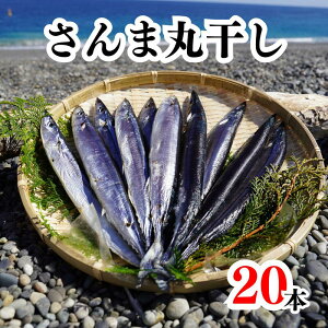 yӂ邳Ɣ[Łz ܊ۊ 20{ 쏤X3ڂ̊ۊ@
