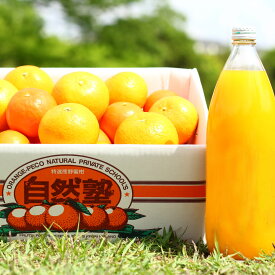 【ふるさと納税】 みかん 定期便 自然塾5 みかん＆まるごと果汁詰合せ【定期便3回】 フルーツ 定期 柑橘 ジュース 季節 旬