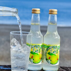 【ふるさと納税】 三重県熊野市産 新姫 サイダー 250ml × 12本