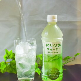 【ふるさと納税】 乾いたカラダを潤す♪ にいひめウォーター 510ml × 24本 入