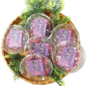 【ふるさと納税】 梅干し 熊野乃梅 昔ながらの梅 小分け 6パックセット 160g×6 三重 熊野市