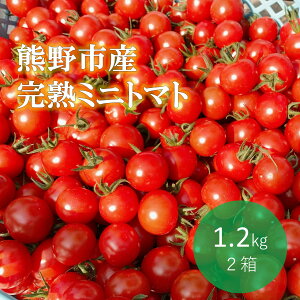 yӂ邳Ɣ[Łz y2026N1ȍ~zzF򑐉  ~jg}gi1.2kg×2j g}g v`g}g ~ ng}g TY  Â |Z Fs