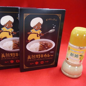 【ふるさと納税】 コクとスパイスのきいた本格カレー 【美熊野牛カレー（辛口）2個と新姫ごまドレッシング1本】