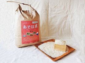 【ふるさと納税】 令和7年 新米 あそぼ米（こしひかり）5kg 10kg