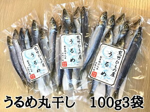 yӂ邳Ɣ[Łz F̘V܊ CXyߊۊ 100gz× 3  ۊ Ђ    Fs
