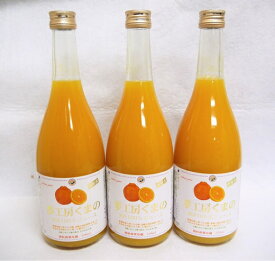 【ふるさと納税】 みかんジュース 「糖度14度以上【不知火（しらぬい）ストレートジュース】720ml×12本 段ボール箱