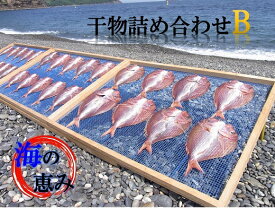 【ふるさと納税】熊野干物詰め合わせ 海の恵み B 鯛 サンマ アジ カマス ブリ カワハギ スルメ