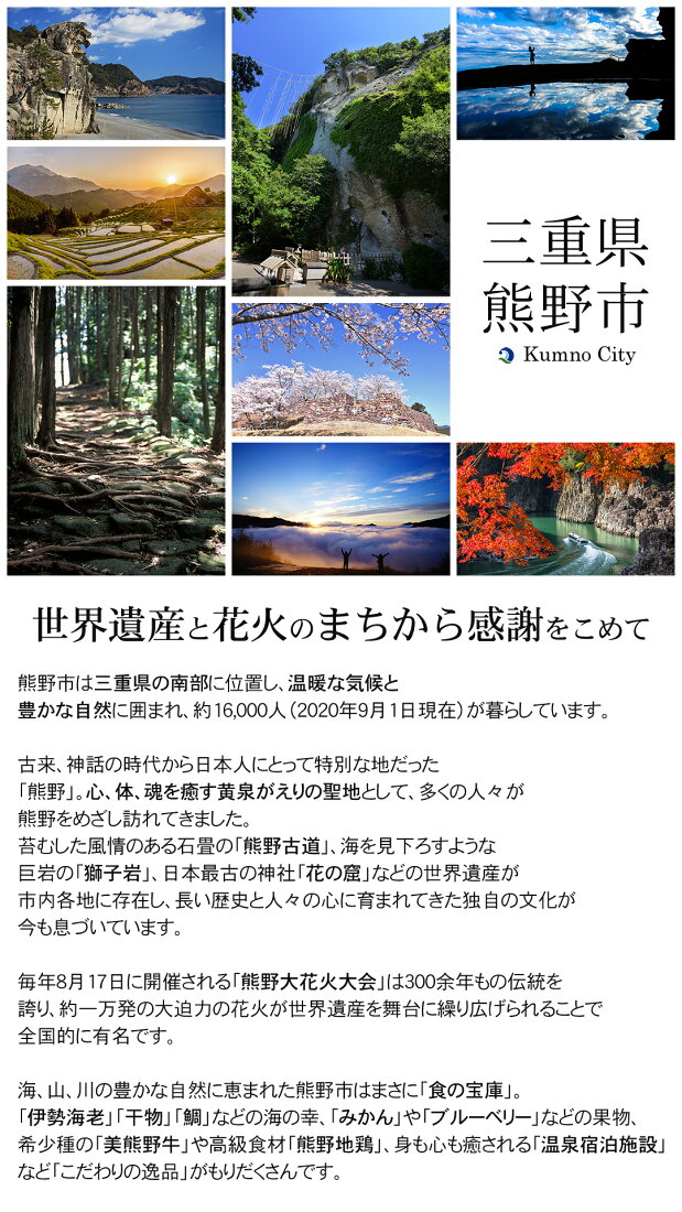 ふるさと納税 熊野市 熊野のみりん干し お試しセット 通販 ふるさと納税 熊野の老舗干物屋 畑辰商店×3袋 三重県熊野市