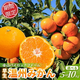 【ふるさと納税】 みかん 金山パイロットファーム 早生温州みかん 5kg 10kg 【選べる容量】 みかん ミカン 温州みかん 早生みかん 早生温州 フルーツ 果物 くだもの 柑橘 産地直送 数量限定 人気 国産 三重県 熊野市 【2026年11月～12月末までに順次発送予定】