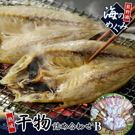 【ふるさと納税】 熊野干物詰め合わせ 海の恵み B 鯛 サンマ アジ カマス ブリ カワハギ スルメ