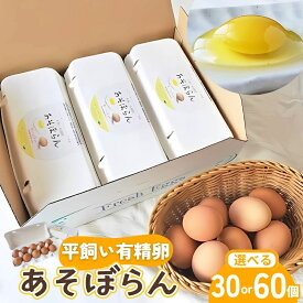 【ふるさと納税】 平飼い有精卵（あそぼらん) 30個 60個/こだわり卵 熊野市産 三重県産 たまご たまごかけご飯 玉子 生卵 鶏卵 タマゴ 卵焼き TKG